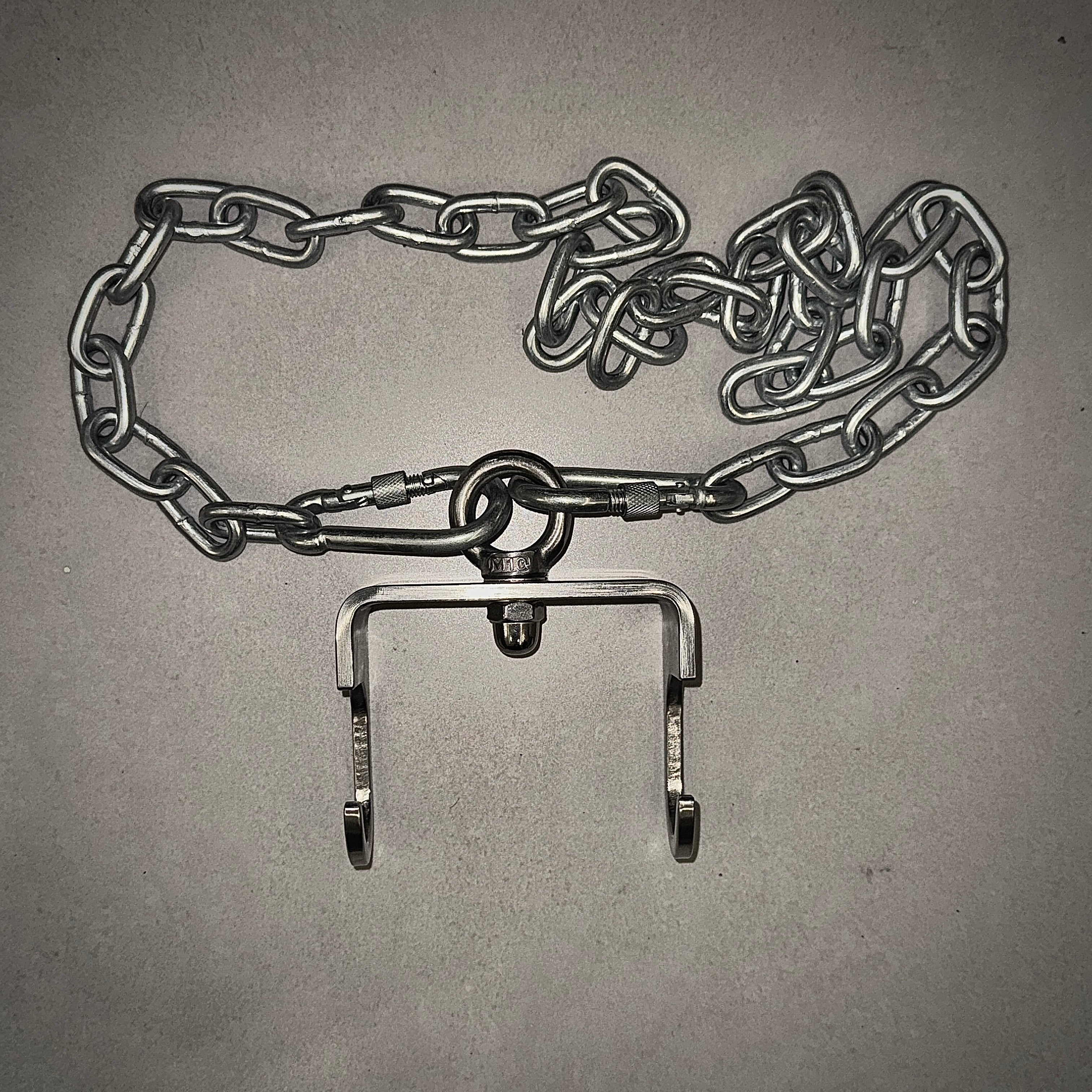 Dip Belt Dumbbell Hook